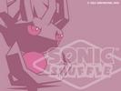 Sonic Shuffle (: 1024768)
