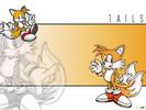  Tails (: 1024x768)